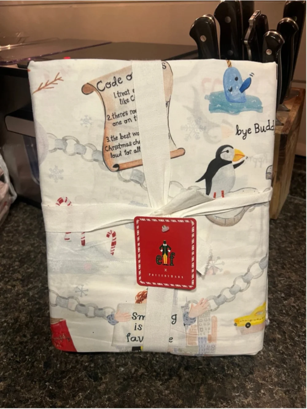 New Pottery Barn Elf™ Percale Queen Sheet Set